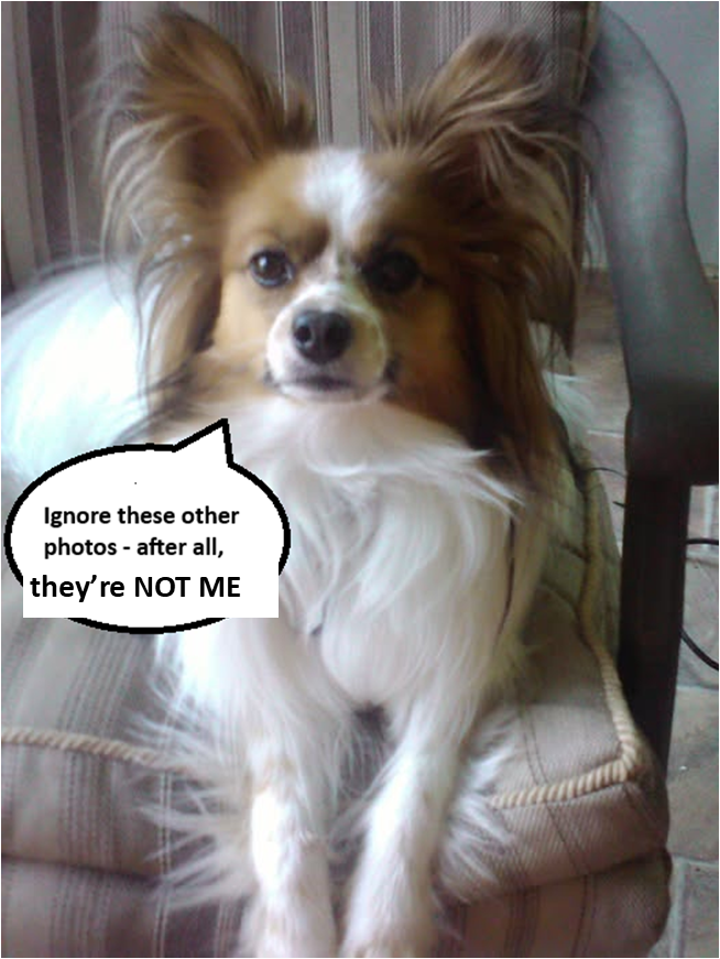 Winnie's modesty
